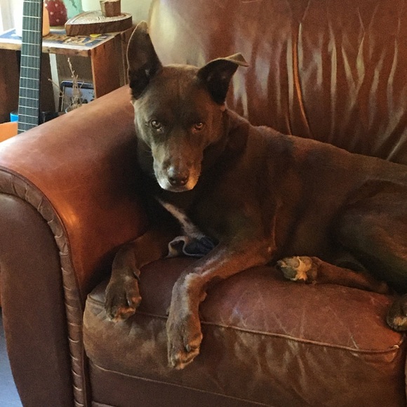 Meet your Posher, Christie - Picture 1 of 1